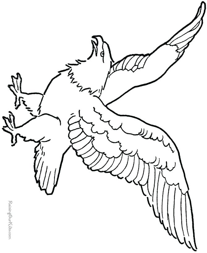 670x820 Bald Eagle Coloring Page Packed With Click To See Printable