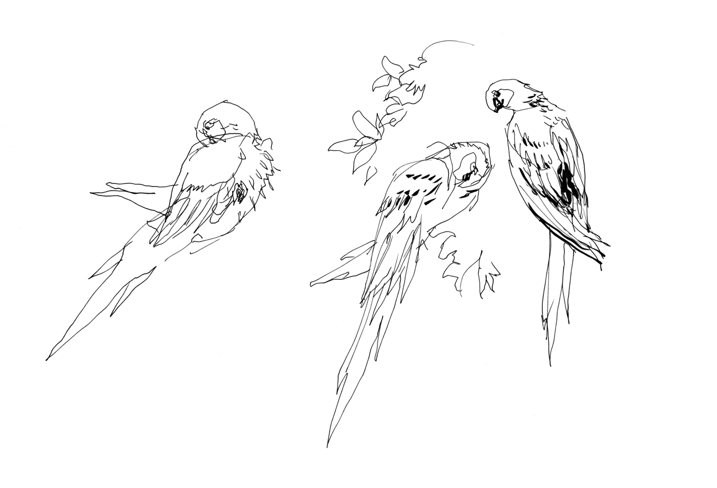 1400x952 Citizen Sketcher Page 24