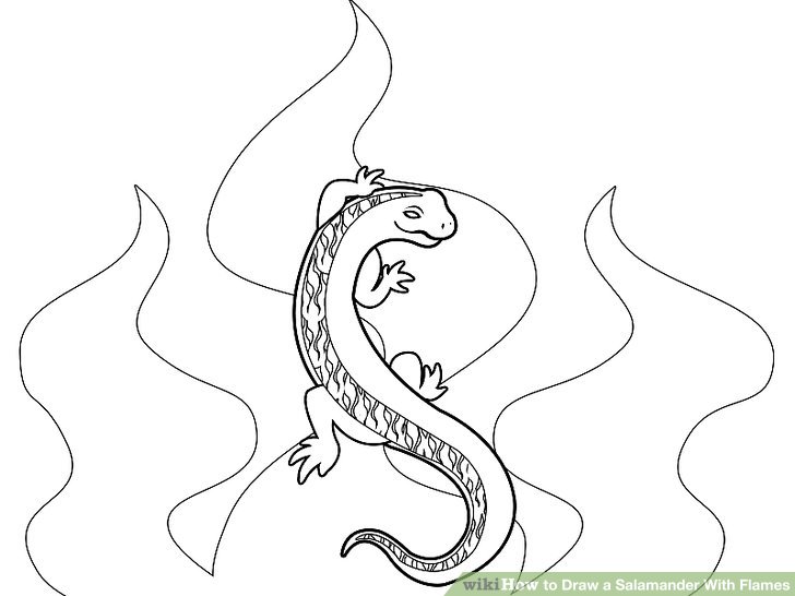 728x546 How To Draw A Salamander With Flames 10 Steps (With Pictures)