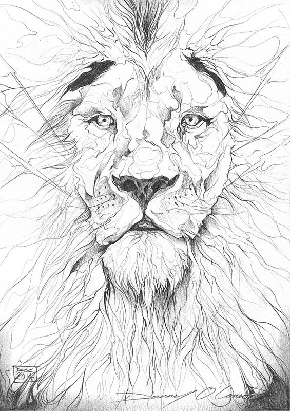 565x800 Lion Portrait Sketch Lions, Sketches And Portraits
