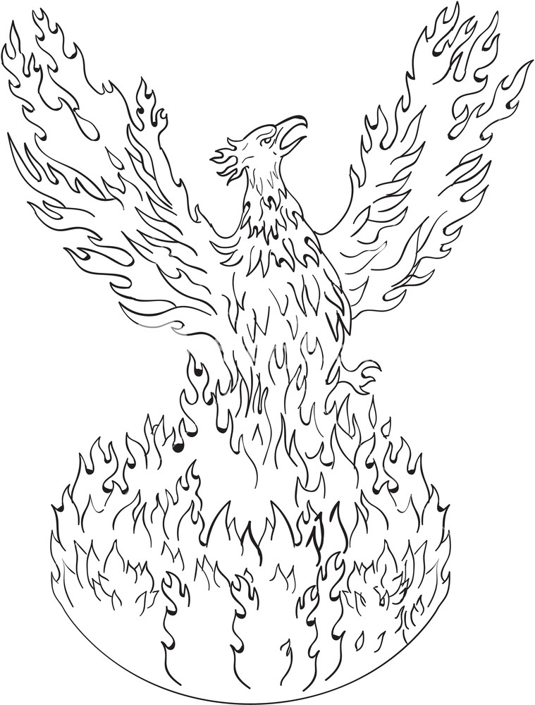 759x1000 Drawing Sketch Style Illustration Of A Phoenix Rising Up