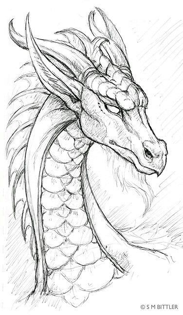 376x648 Pin By Flame On Dragons Other Dragons, Draw
