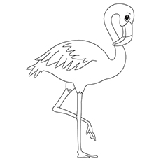 230x230 Flamingo Coloring Book Flamingo Coloring Book Pages