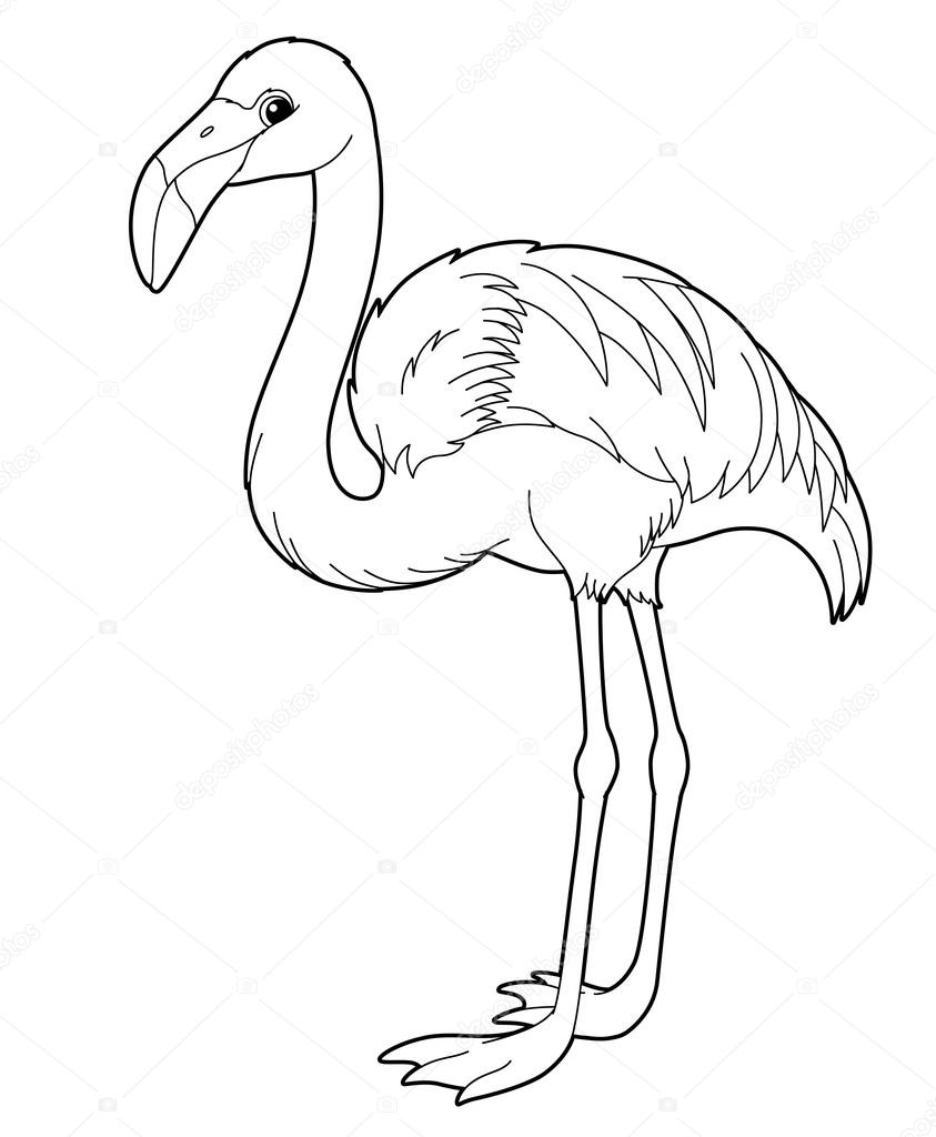 843x1024 Flamingo. Cartoon Animal Stock Photo Agaes8080
