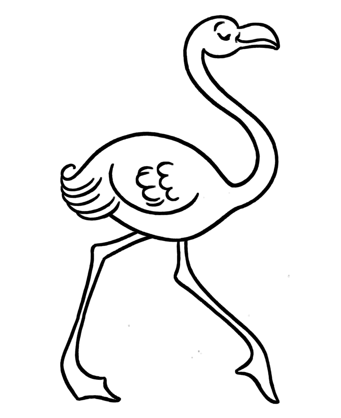 670x820 Pre K Coloring Pages Pink Flamingo School Pink