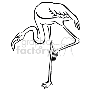 300x300 Royalty Free Black And White Flamingo Cartoon 129404 Vector Clip