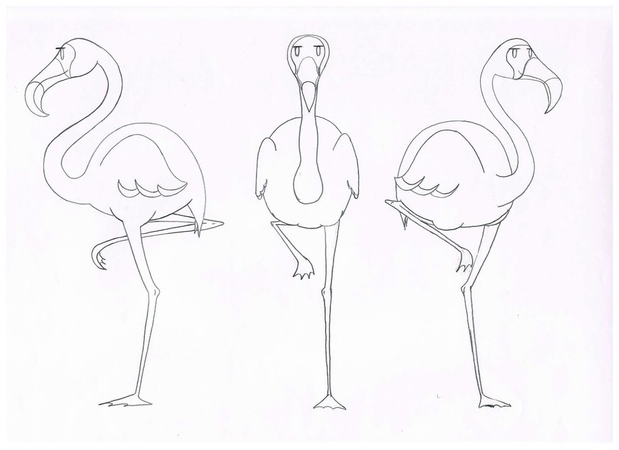 900x654 Cartoon Flamingo (Turn Around Sheet) By Amiebain