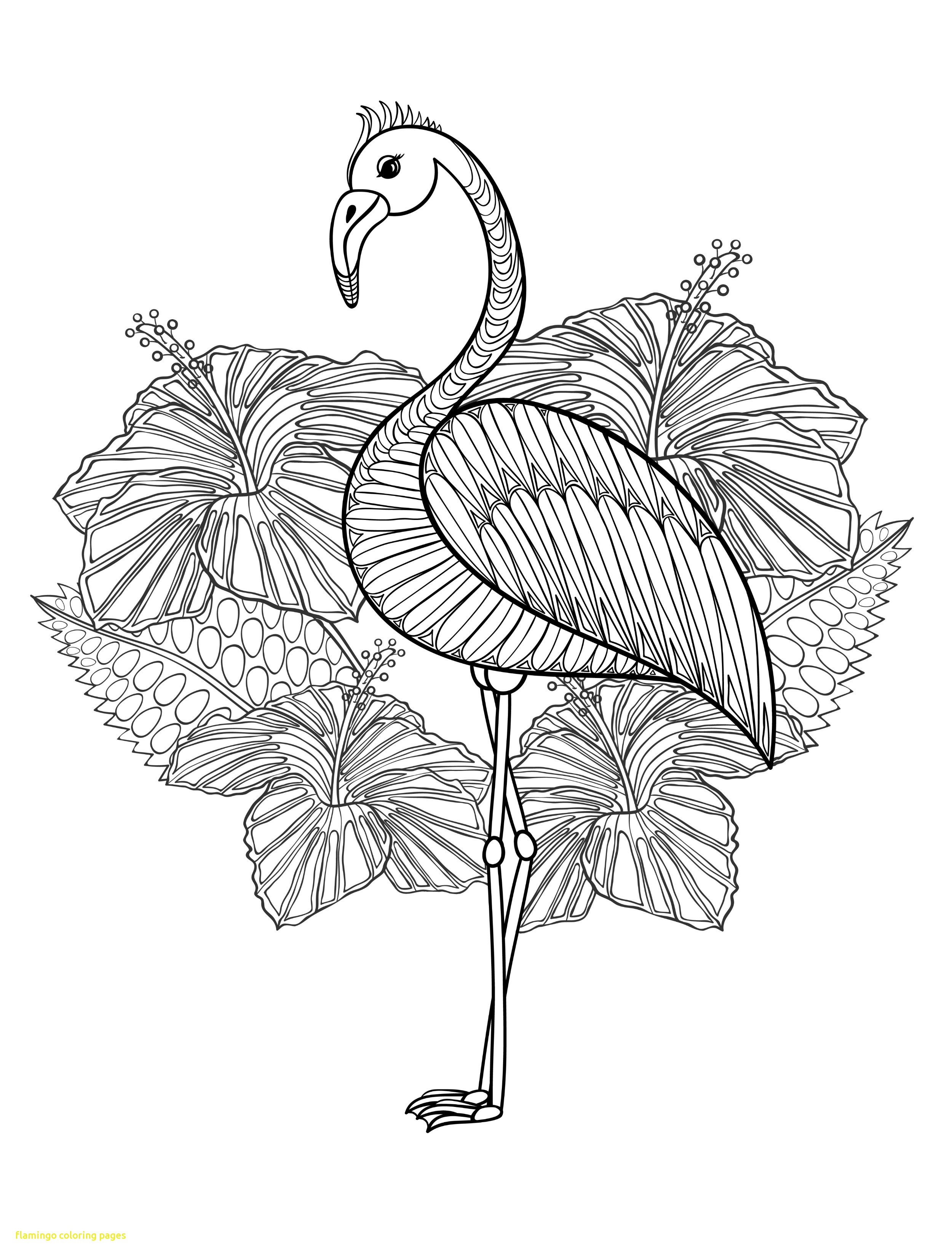 2500x3300 Flamingo Coloring Pages With 20 Gorgeous Free Printable Adult