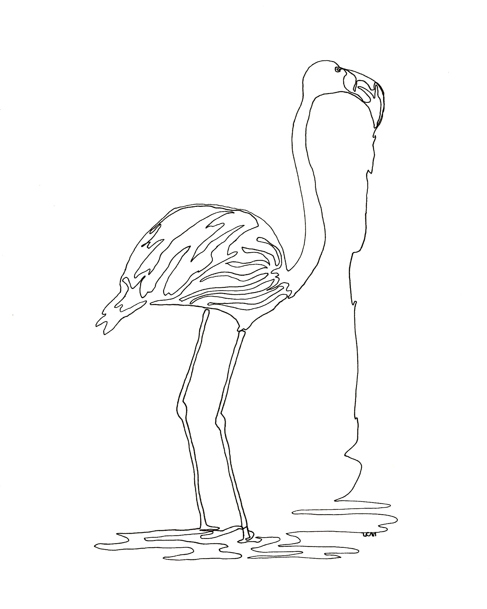 1696x2120 Flamingo Continuous Line Drawing
