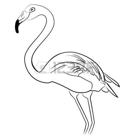 450x450 Flamingo Hand Draw Royalty Free Cliparts, Vectors, And Stock