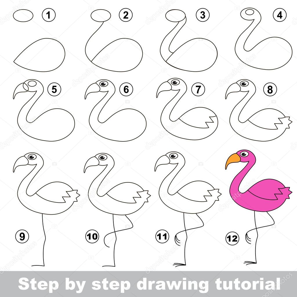 1024x1024 Flamingo. Drawing Tutorial. Stock Vector Anna Mikhailova