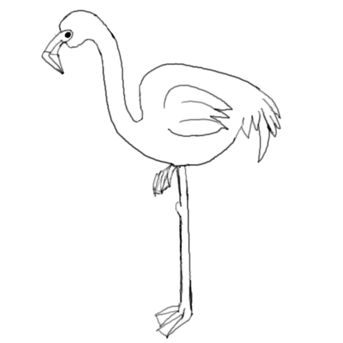 500x500 How To Draw A Pink Flamingo Save The Flamingos
