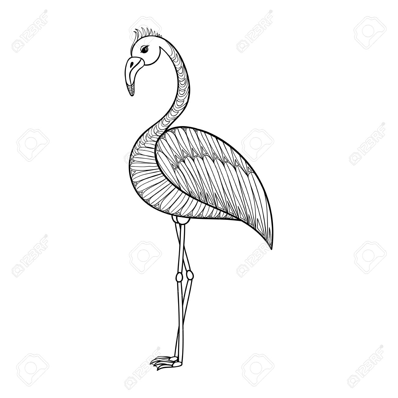 1300x1300 Coloring Page With Flamingo Bird, Zentangle Illustartion Tribal