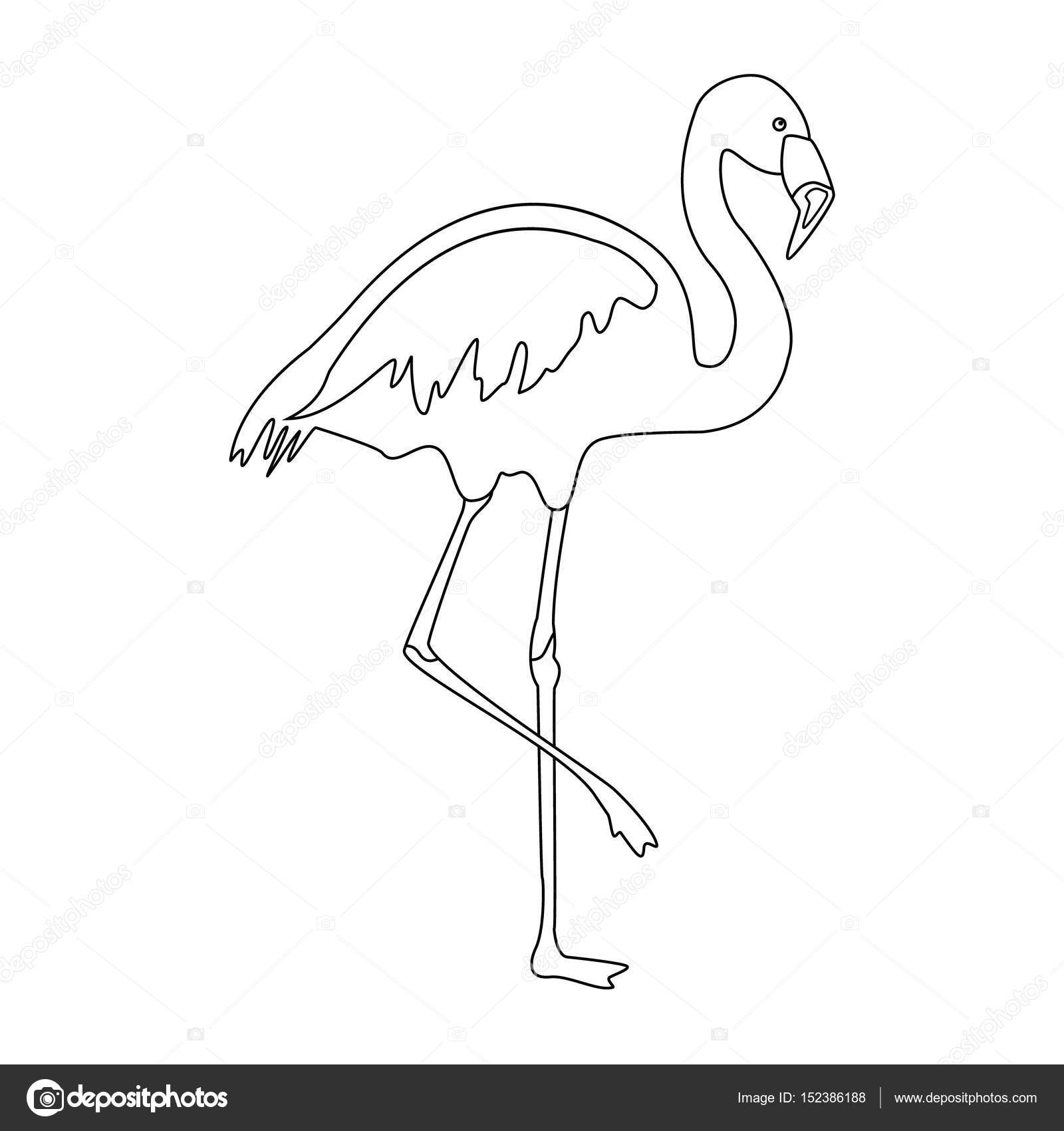1600x1700 Modest Flamingo Outline Drawing Stock Photo Viktorijareut