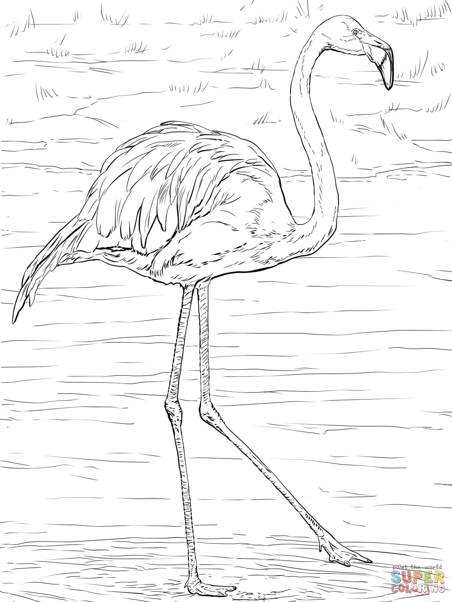 1536x2048 Flamingo Animal Dance Free Draw To Color