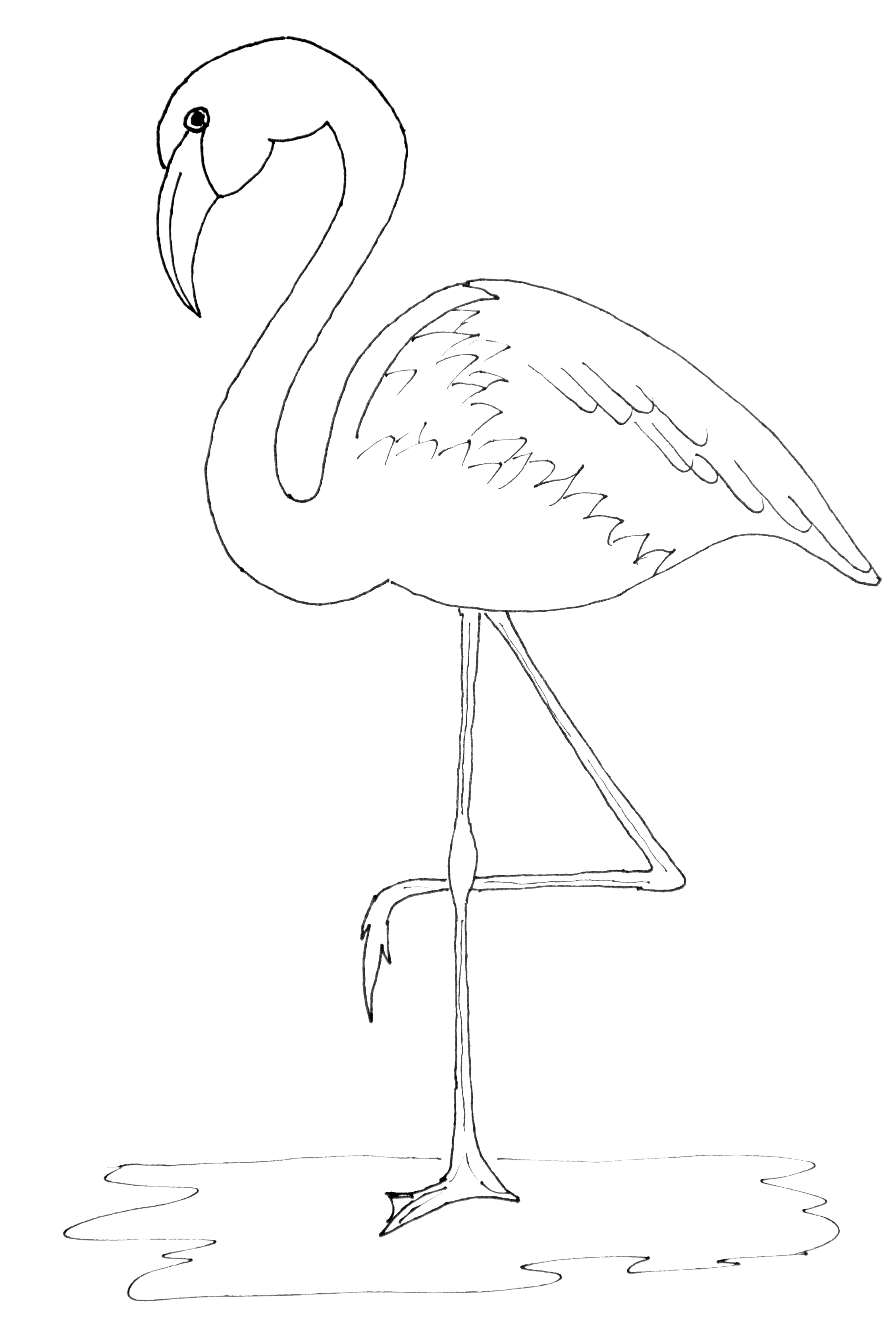 2257x3363 Drawing Of A Flamingo Drawn Flamingo Outline