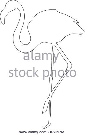 297x470 Outline Of An African Flamingo Stock Vector Art Amp Illustration