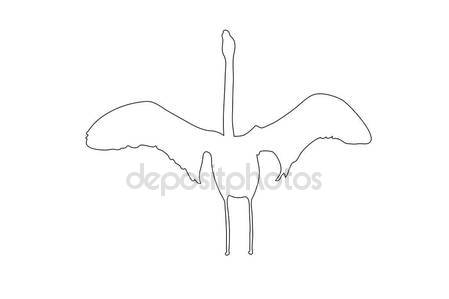 449x299 Outline Of An African Flamingo Stock Vector Friedemeier