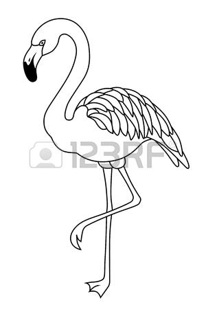 Flamingo Drawing Outline at GetDrawings | Free download