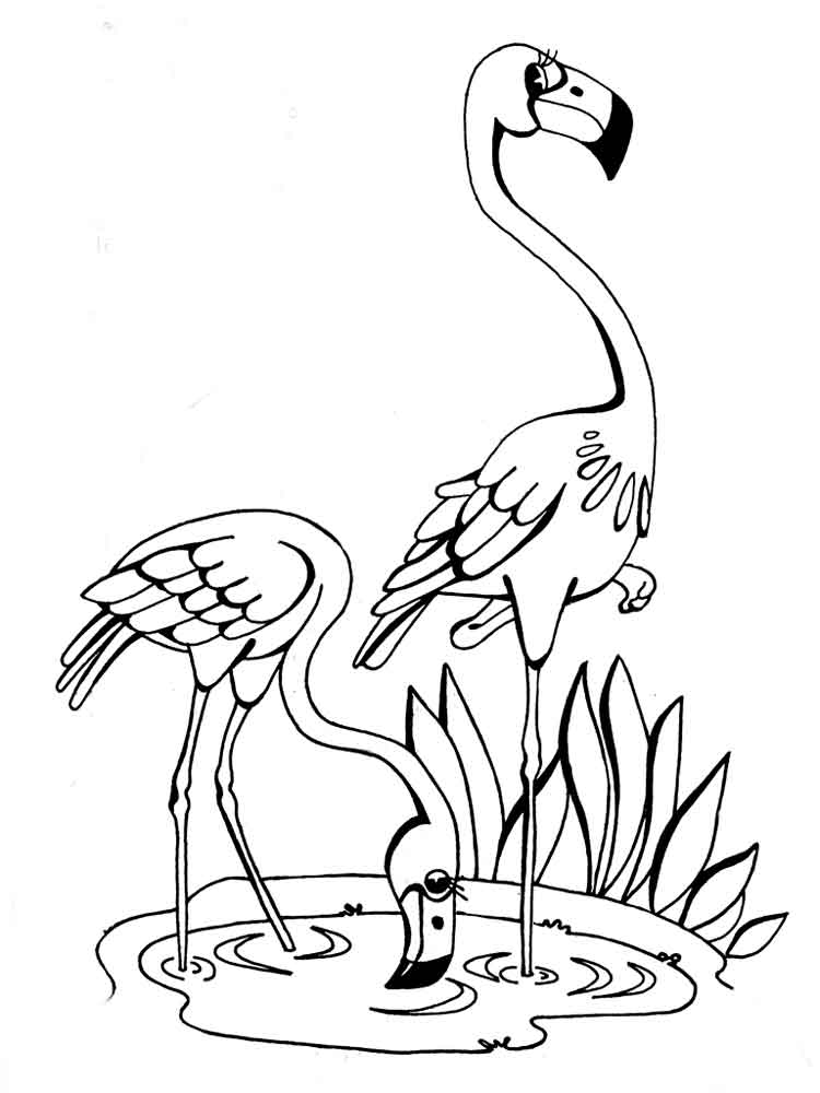 Flamingo Drawing Template at GetDrawings | Free download