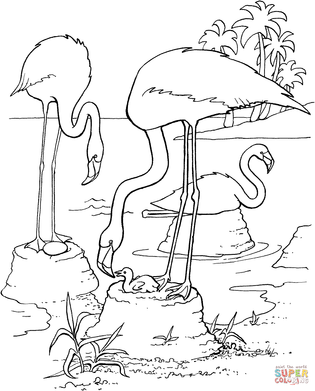1081x1341 Flamingos Coloring Pages Free Coloring Pages