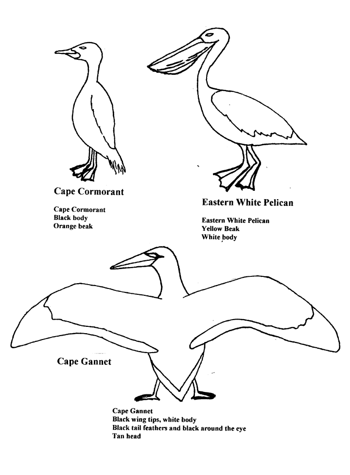 720x978 The Living Edens Namib