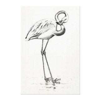 324x324 Vintage Flamingo Art Amp Framed Artwork Zazzle