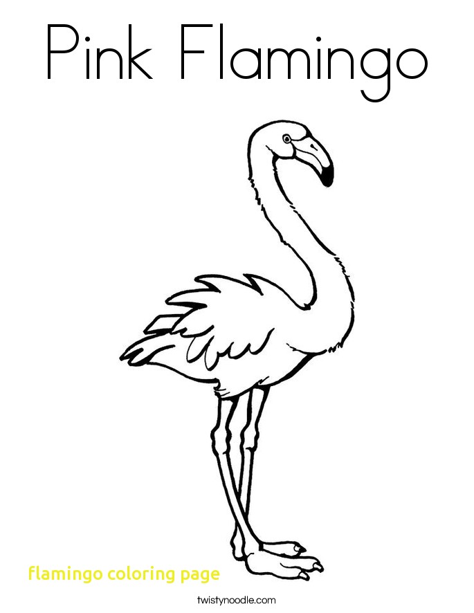 685x886 Flamingo Coloring Page With Pink Flamingo Coloring Page Twisty
