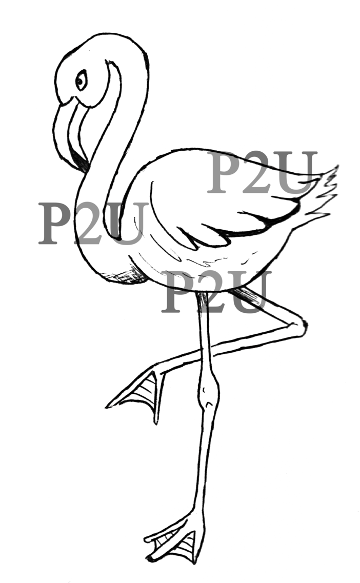 Flamingo Line Drawing at GetDrawings | Free download