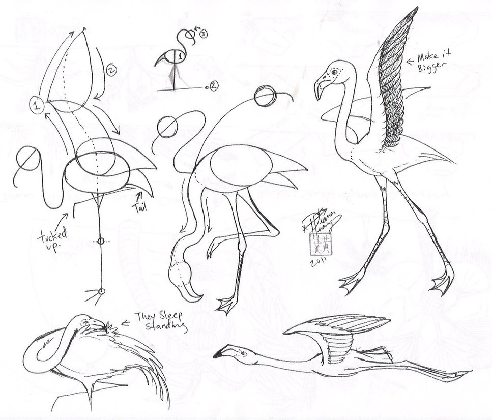 967x826 Draw A Flamingo By Diana Huang