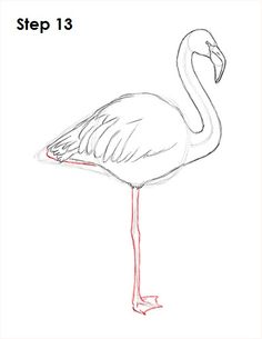 236x305 Flamingo Bird Drawing 1 Beachwood Painting