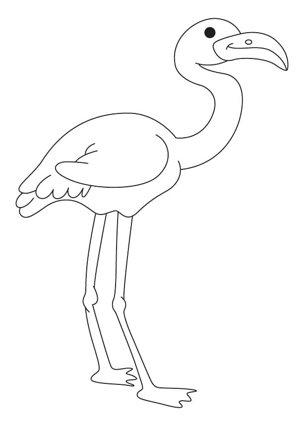 613x860 Flamingo Coloring Pages Medium Size Coloring Drawing
