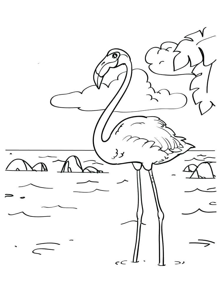 750x1000 Flamingo Coloring Pages Together With Flamingo Coloring Page Bird