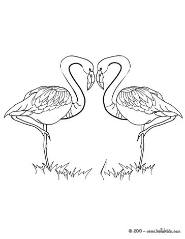 364x470 Love Flamingos Coloring Pages