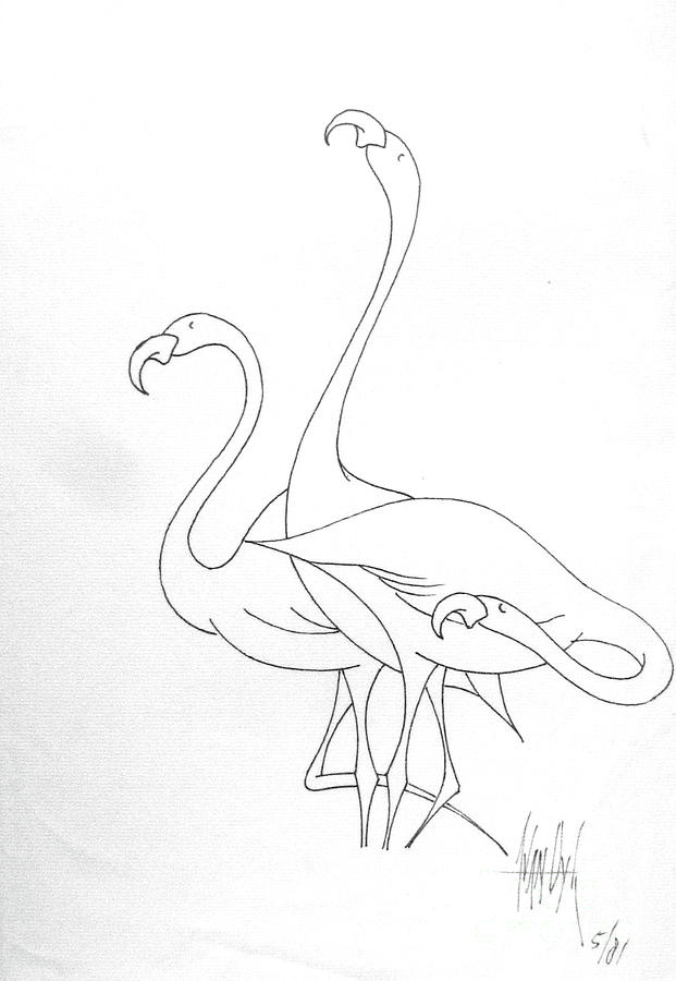621x900 Three Flamingos Drawing By Dorothy Hilde