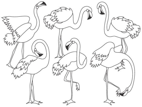 570x428 Black And White Flamingo Clipart Digital Vector Flamingo