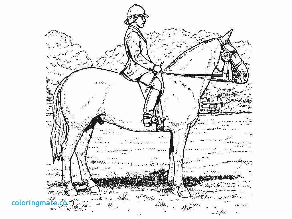 1024x768 Realistic Horse Coloring Pages Lovely Flat Stanley Friends Gekimoe