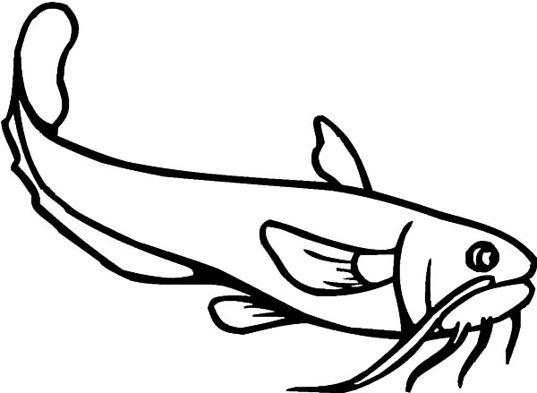 600x439 Catfish Coloring Pages