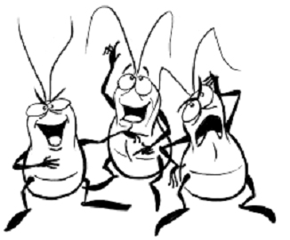 326x270 The Flea Is Hopping Cherrywood Neighborhood Association