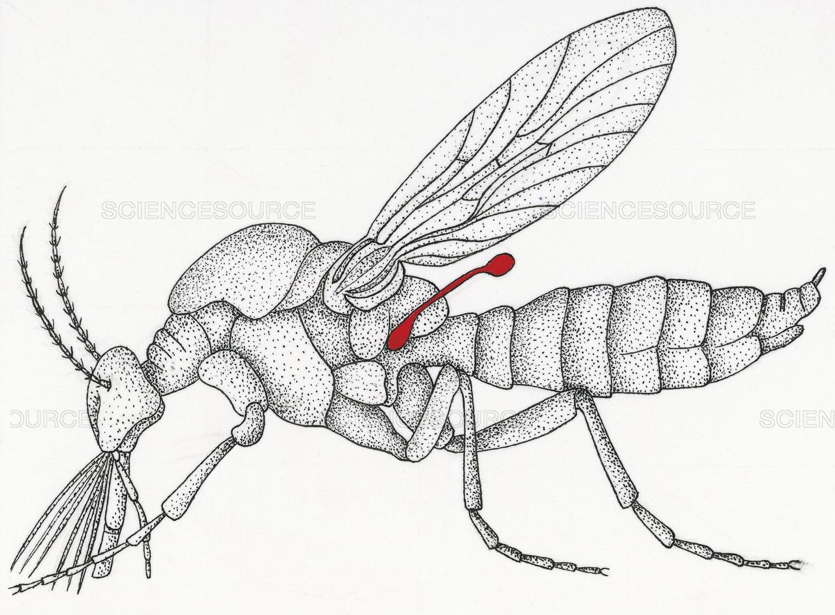 1199x884 Orange Logic