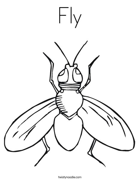 468x605 Fly Coloring Page