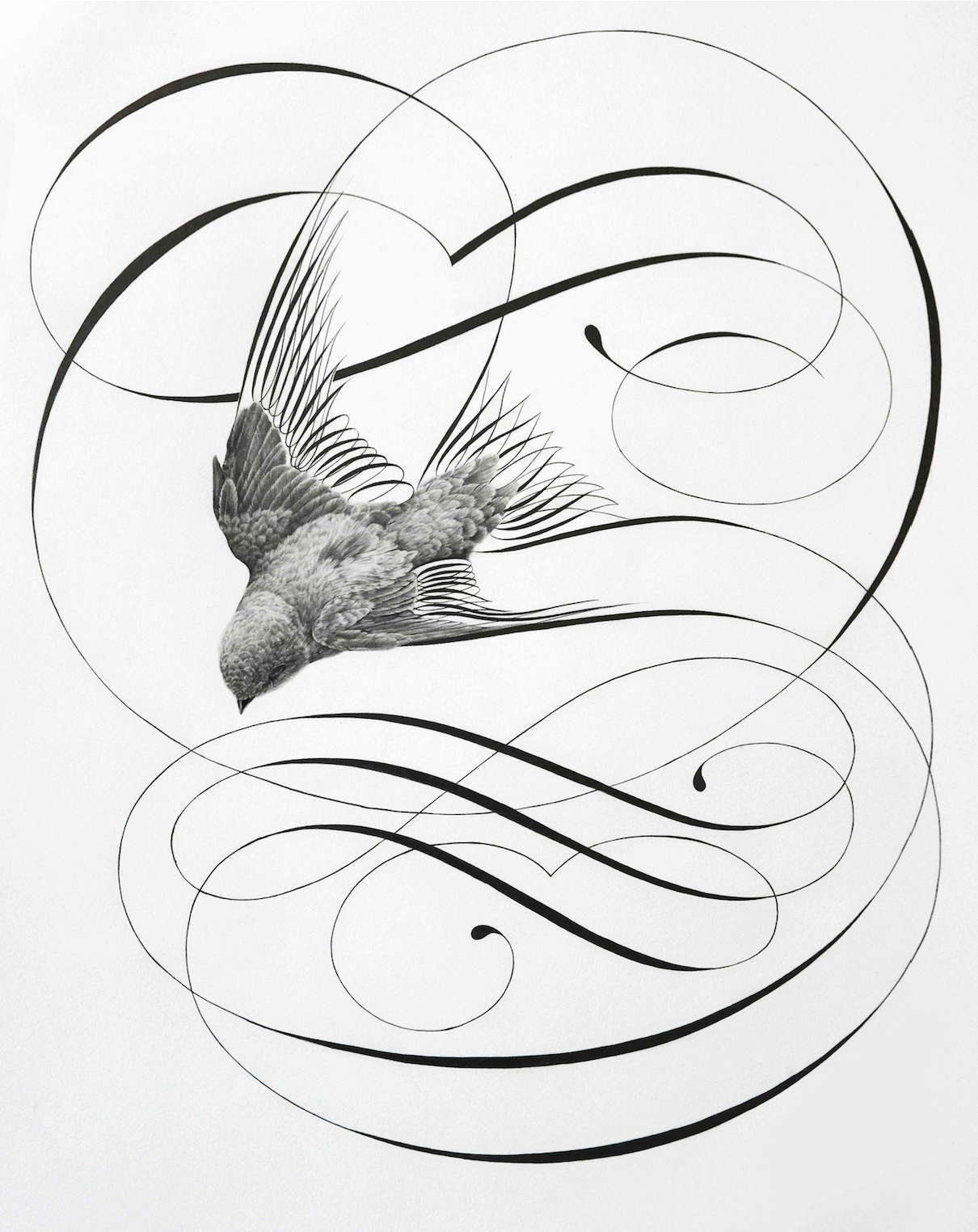 1210x1524 Flight Of Fancy Jake Weidmann Artist And Master Penman
