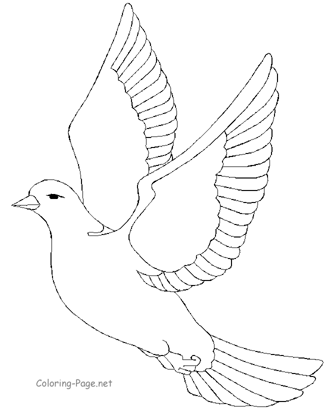 670x820 Flying Bird Coloring Pages