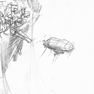 300x300 Floating Island With Lake