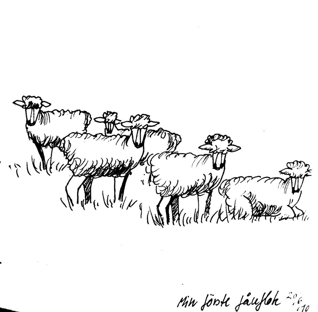 1024x1006 All Sizes My First Flock Of Sheep Sketch