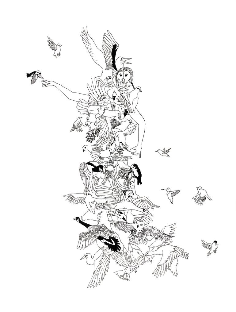 770x1017 Saatchi Art Flock Drawing By Katie Hovencamp