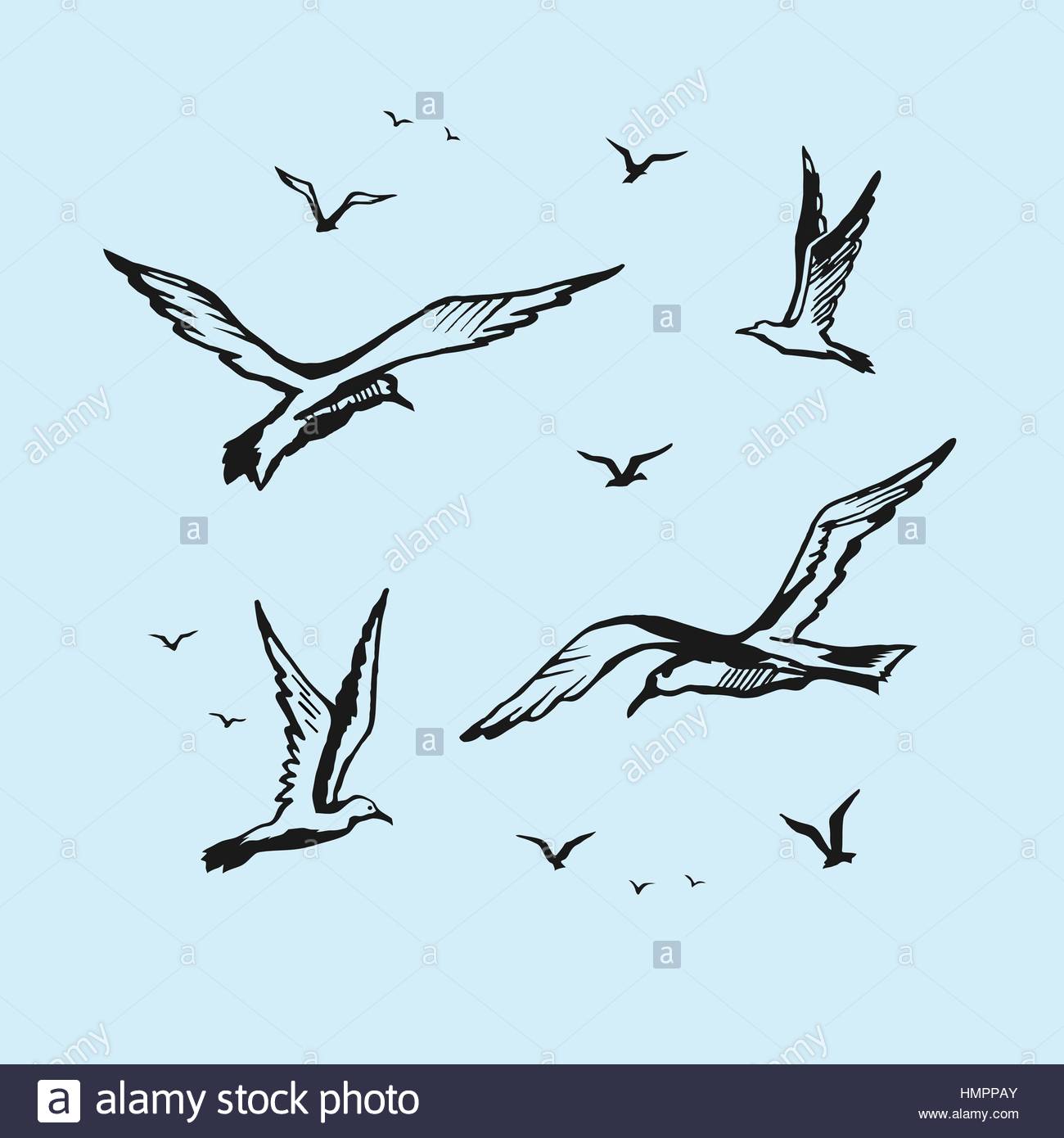 1300x1390 Seagulls Vector Sketch Drawing By Hand Stock Vector Art