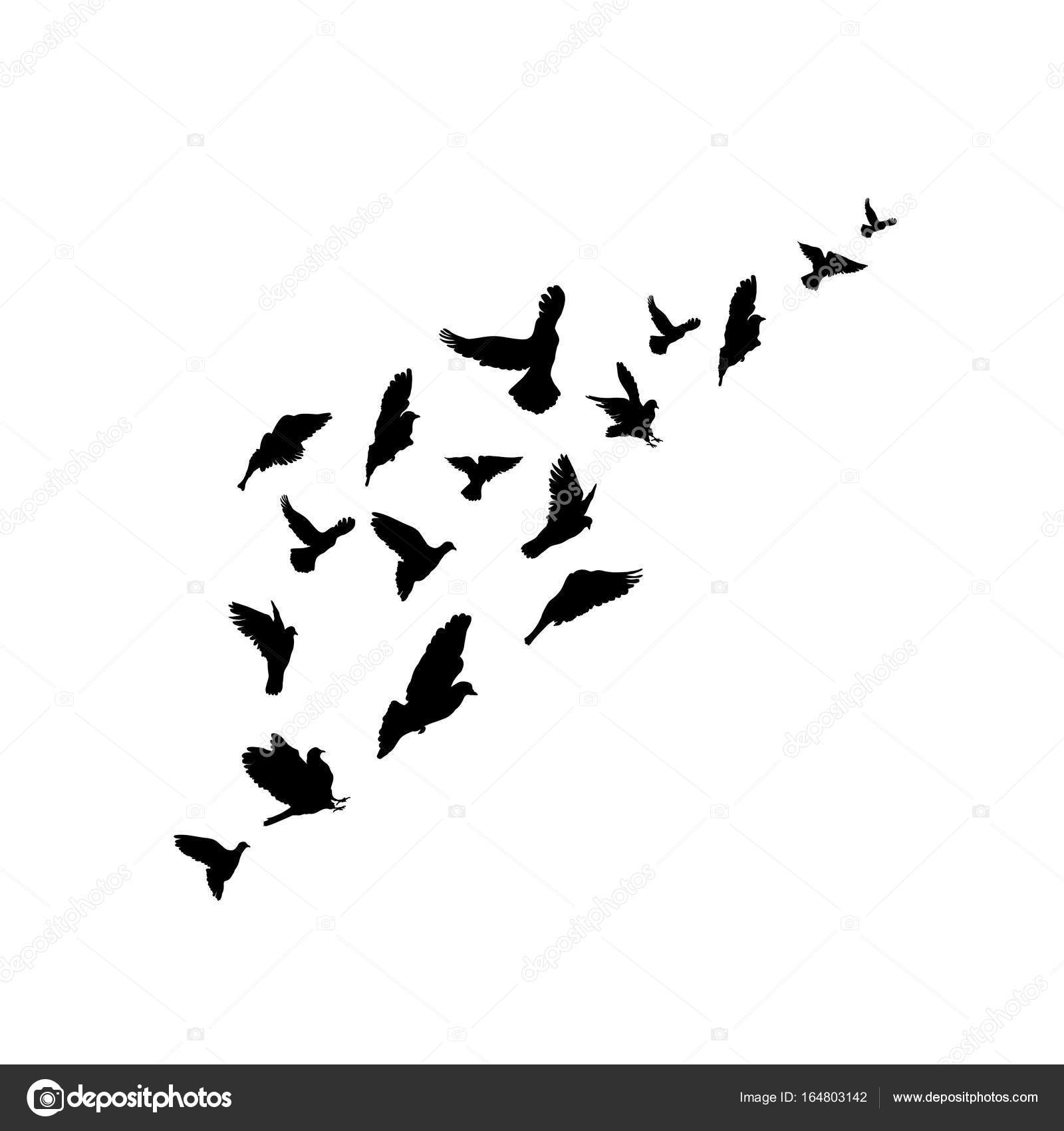 1600x1700 Silhouettes A Flock Of Birds. Vector Illustration. Isolated