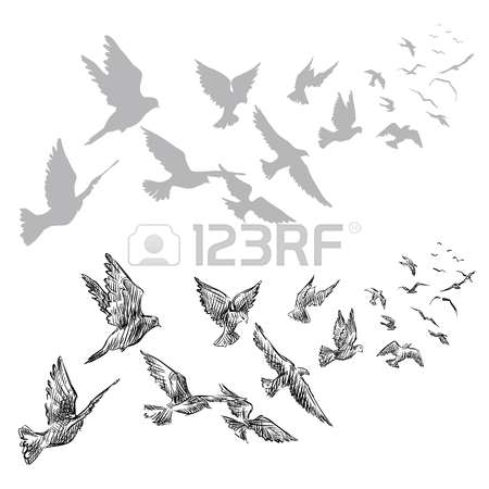 450x450 Flock Of Birds Stock Photos. Royalty Free Business Images