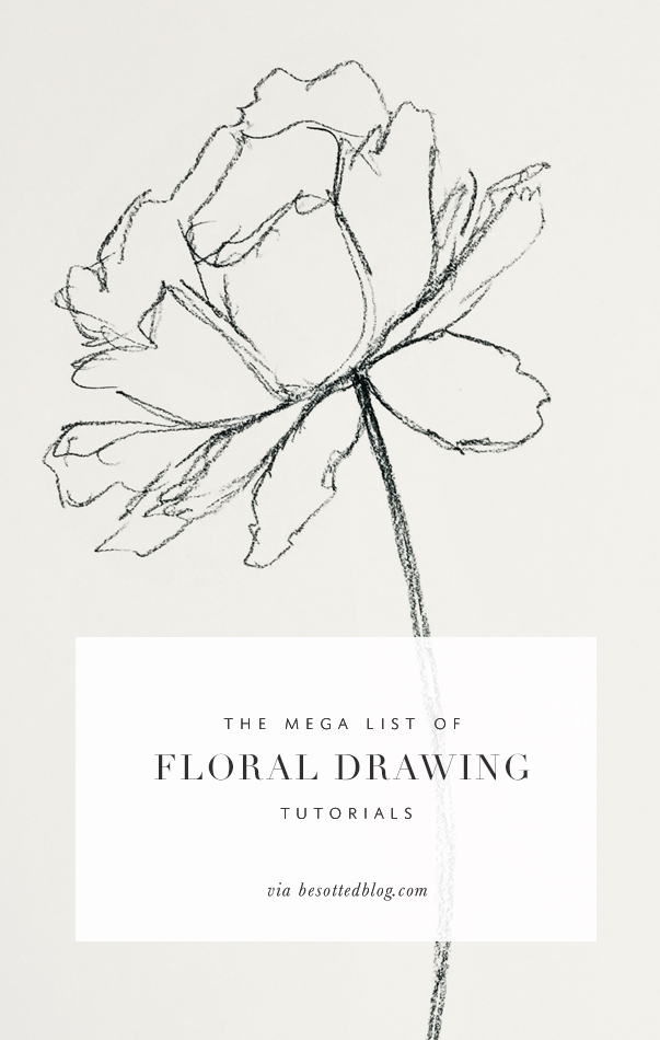 603x950 The Mega List Of Floral Drawing Tutorials